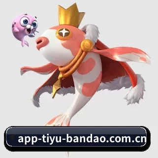 半岛体育 APP